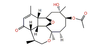 Briarenone A